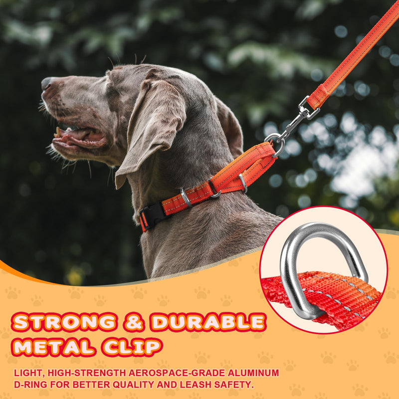 Arblina Martingale Dog Collar, Reflective Pull Stop Collar Dogs for Large Medium and Small Dogs, Nylon Pull Collar with Stop for Dogs Whippets, Greyhounds, Saluki, Orange, S - BeesActive Australia