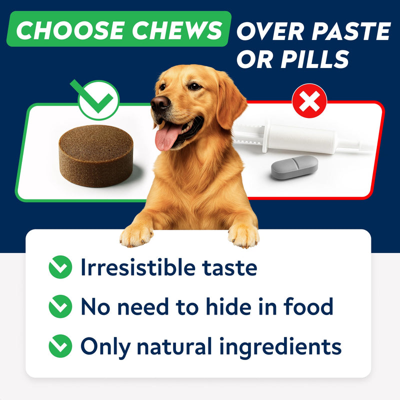 Advanced Probiotics for Dogs Gut Health with Fibre - Pre, Post & Probiotic Treats - Dogs Digestive Health Sensitive Tums Support - All Breeds & Ages - Dog Probiotics for Gut Health (180 Ct) Pork 180Ct Probiotic Chews