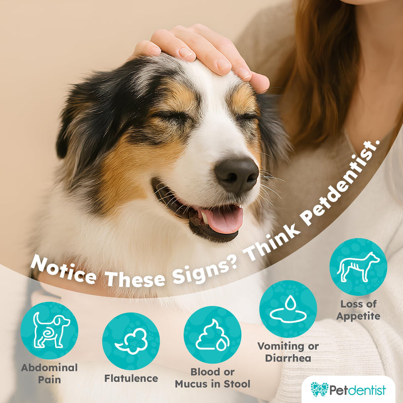 High Fibre Probiotics for Dogs and Cats - Premium Fiber Powder Supplement for Dogs, Anal Glands, Gut Health, CoQ10, Vitamin C for Digestion, Oral Care, Heart Support - 500 Grams