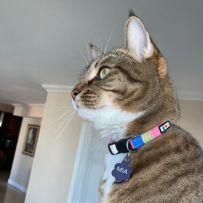 Pawtitas Pet Multicolor Cat Collar with Safety Buckle and Removable Bell Cat Collar Kitten Collar Yellow/Blue/Orange Cat Collar 🍭 Multicolor Yellow / Blue / Orange - BeesActive Australia