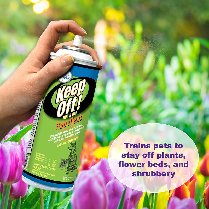 Four Paws Keep Off Pet Repellent Spray for Outdoors & Indoors, Dog & Cat Chew & Scratch Deterrent, 10 oz. Aerosol 10 Ounce (Pack of 1)
