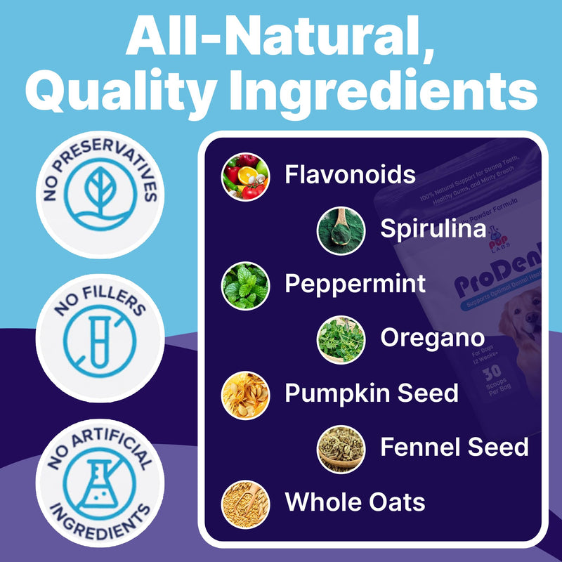 All-Natural and Expert-Formulated Dental Powder for Dogs, Dog Dental Supplement for Healthy Teeth and Against Leaky Gums for Dogs 12+ Weeks, Made in The USA with The Standards, 20 Serv - PawsPlanet Australia