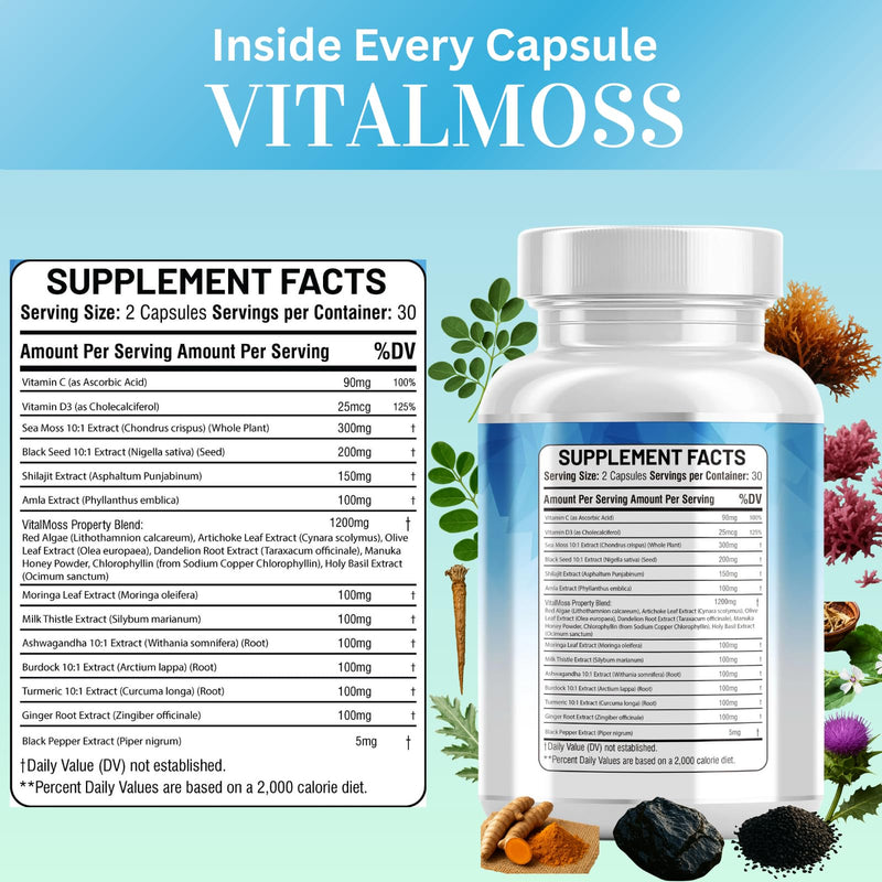 Sea Moss Complex – with Black Seed Oil, Shilajit, Amla, Moringa, Turmeric, Ashwagandha & Burdock – Enriched with Vitamin C, D3, Chlorophyll, Manuka & Ginger – 60 Capsules