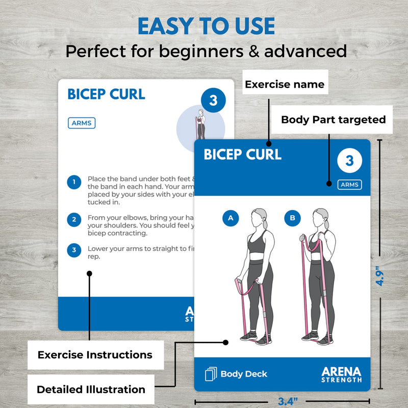 Arena Strength Workout Cards - Instructional Fitness Deck for Booty Band Workouts, Beginner Fitness Guide for Resistance Band Training Exercises at Home. Includes Workout Routines. Total Body