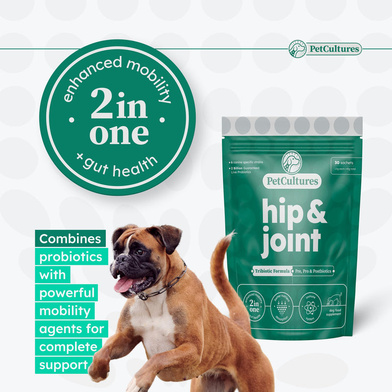 Joint Support Supplement for Dogs - Glucosamine for Dogs Hip and Joint Supplement, Dog Arthritis Supplement, Dog Pain Relief Medication, Probiotics for Dogs, 30 pcks Powder Made in USA Hip and Joint PRO - PawsPlanet Australia