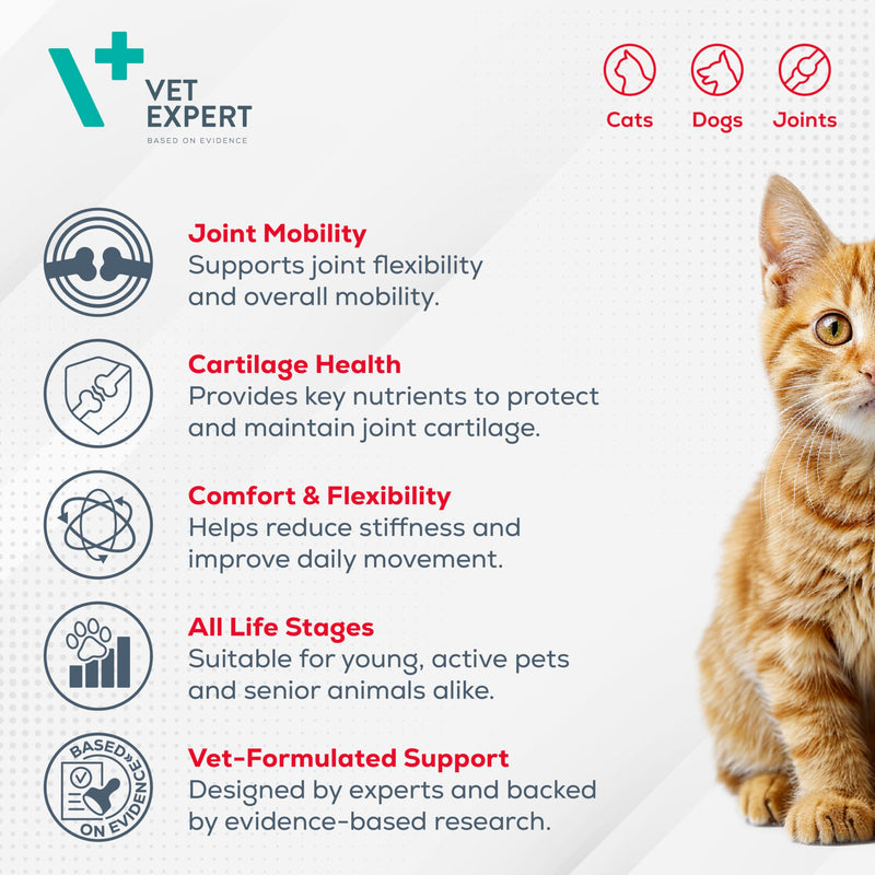 Vet Expert ArthroVet Hip & Joint Support Supplement for Dogs and Cats - 90 Portions – Promotes Healthy Articular Cartilages and Joints with Glucosamine, Chondroitin, Vitamin C, and Hyaluronic Acid