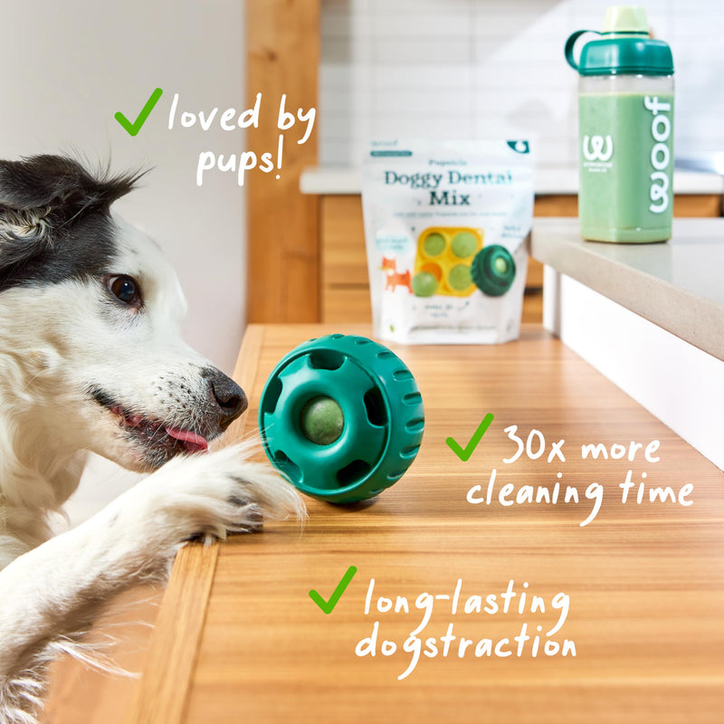 Woof Doggy Dental Pupsicle Mix - Dog Teeth Cleaning Powder for the Pupsicle - Long Lasting Postbiotic Dental Enzyme Mix to Support Oral Health for Dogs Dental Mix