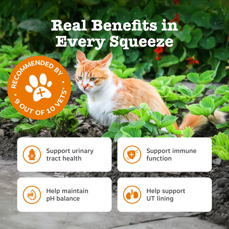 Zesty Paws Urinary & Renal Paste for Cats | Supports Urinary Tract & Kidney Function, Balance Urine pH Levels | Contains Cranberry Powder, D-Mannose, Vitamins B1, B6 & C| Real Fish Flavour | 75g 75ml