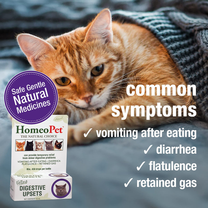 HomeoPet Feline Digestive Upsets, Natural Cat Digestive Support, Digestive Supplement for Cats, 15 Milliliters - BeesActive Australia