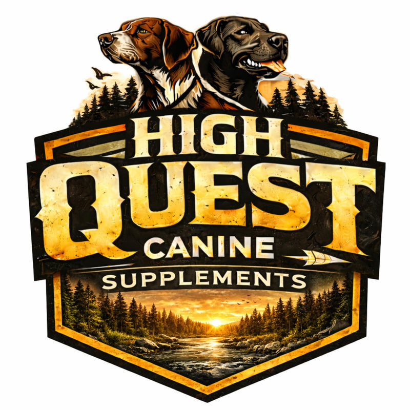 High Quest Hip & Joint Dog Supplement – Glucosamine, Chondroitin, Collagen & MSM Soft Chews - All Breeds and Sizes - 60 Chews