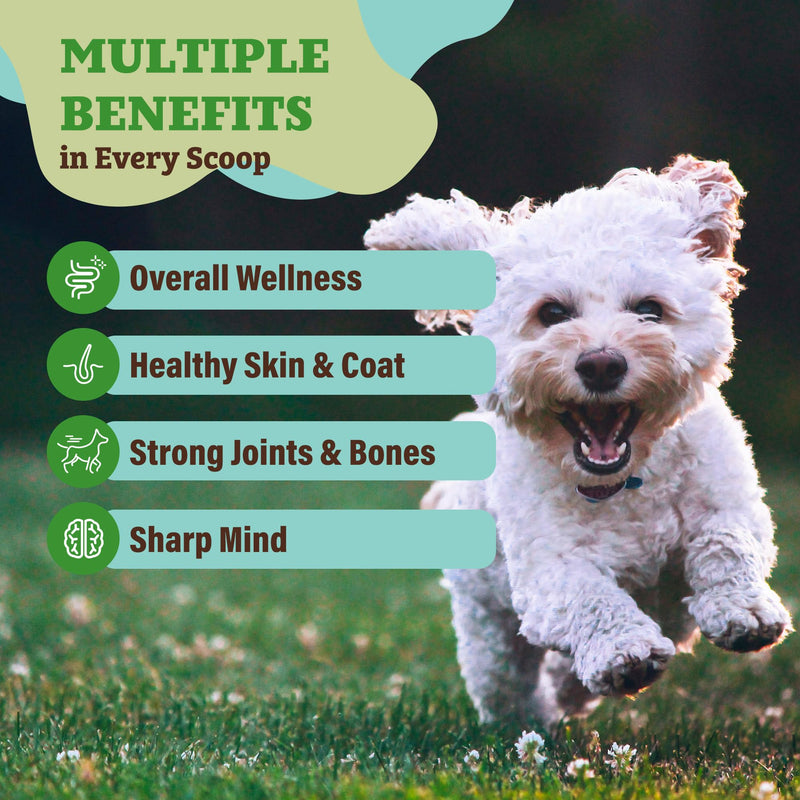 Natural Dog Company Dog Food Topper, Super Greens Dog Multivitamin Powder, Dog Vitamins and Supplements, Boost Immunity & Digestion, Dog Wellness Granules, Nutrient-Rich Food Topper for Dogs, 8 oz Super Greens Multivitamin - PawsPlanet Australia