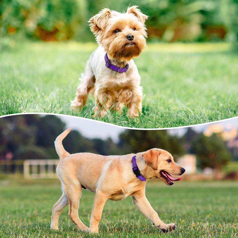 Reflective Dog Collar Padded with Soft Neoprene Breathable Quick Release Basic Dog Collars for Medium Dogs Purple Girl M:width 3/4"neck 14-20.5" - BeesActive Australia