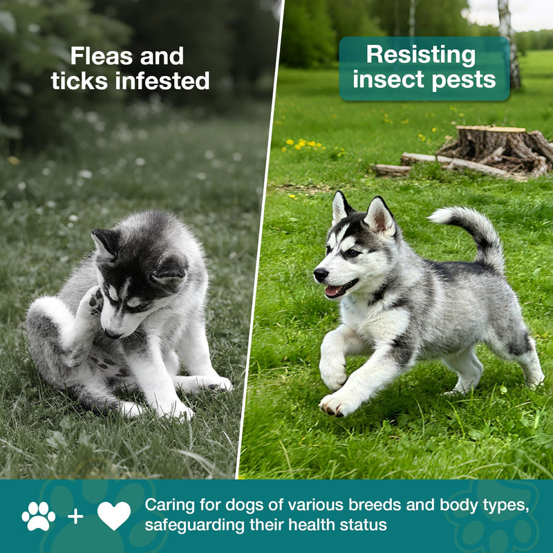 Natural Flea and Tick Prevention for Dogs,Vegetable, 60 Chewable Treats, Daily Flea Tick Control Supplement for Dogs