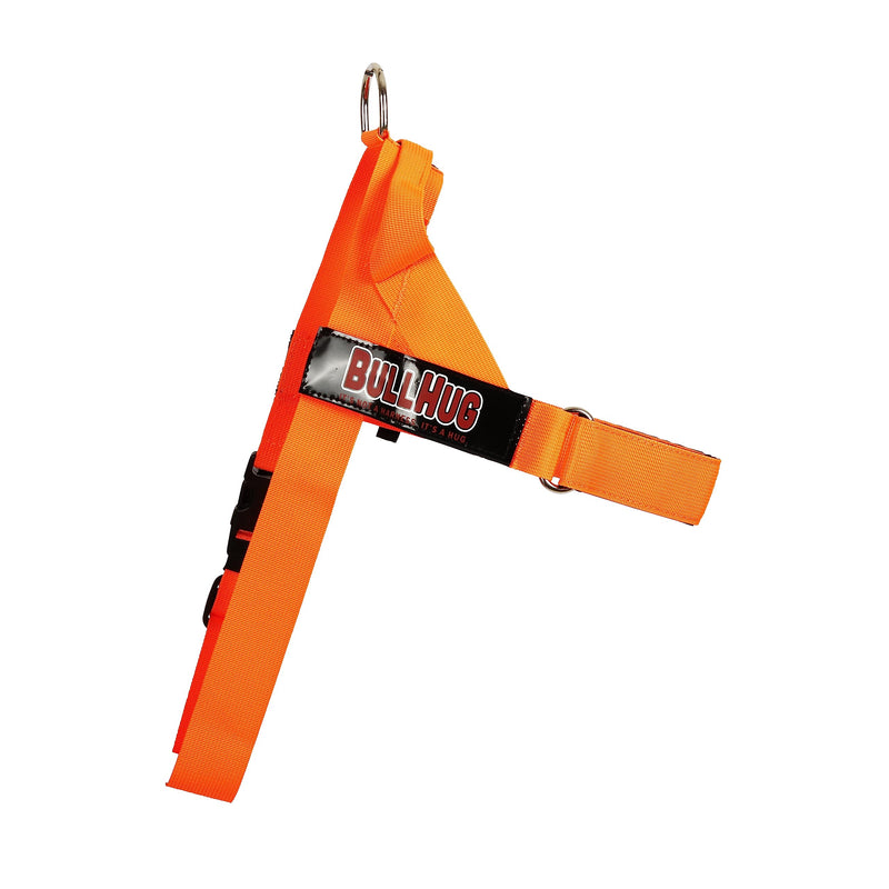 BULLHUG Harness – Made for Larger Chested Dogs Like English Bulldogs, French Bulldogs, Pugs & More. Stops Dogs from Pulling & Choking on Walks (NEON Orange, Medium) NEON ORANGE Medium - (Neck: 16" - 21" Chest: 25" - 30") - BeesActive Australia