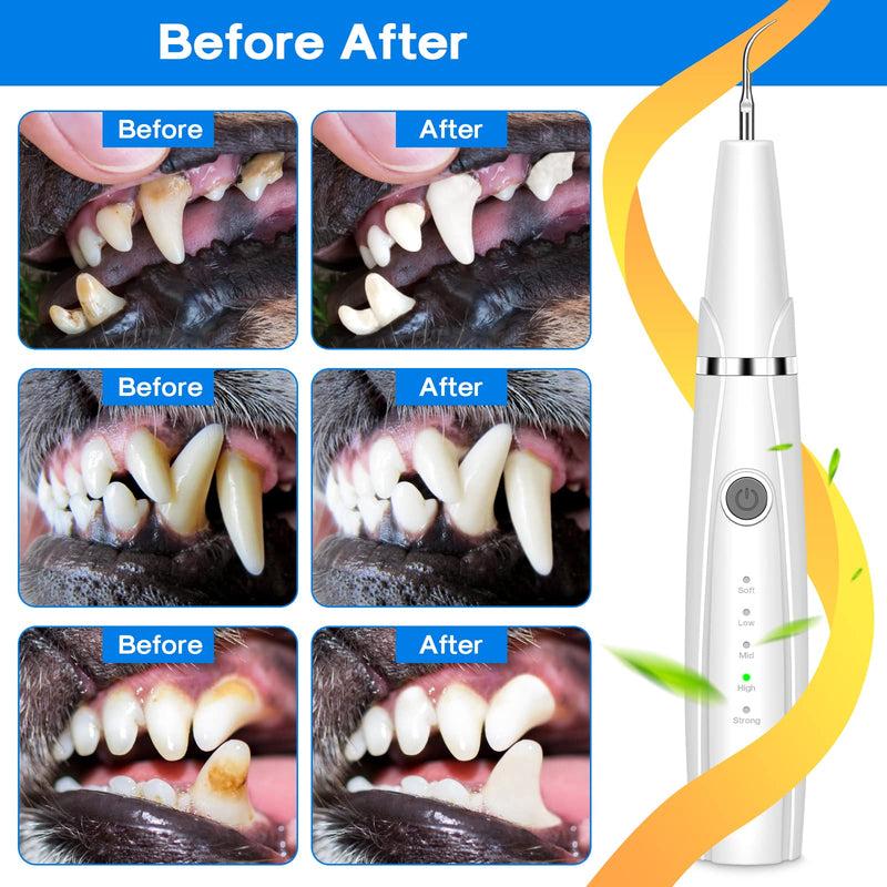 Dog Teeth Cleaning Kit, 5-Mode LED Ultrasonic Tooth Cleaner for Dogs & Cats – Plaque & Tartar Remover, 32-40kHz Pet Dental Care with Toothbrush(White) White