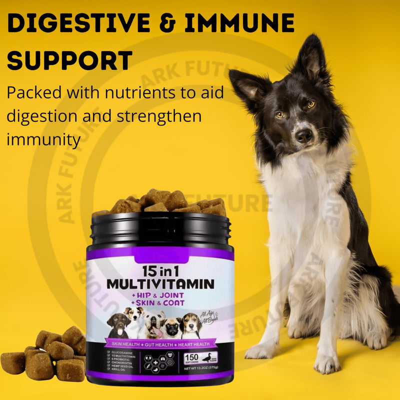 15-in-1 Multivitamin Dog Chews – Duck Flavor, Soft Treats for Hip, Joint, Skin & Coat Support, Digestive Health, Immunity & Overall Wellness – 150 Soft Chews (Pack of 1)