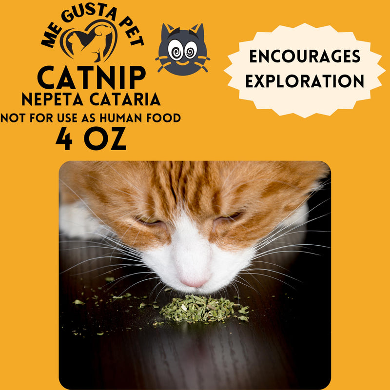 Catnip Cat Nip Blend | Premium Canadian Catnip Bulk Strong Cat Nip for Cats | Cat Nip Treats | All-Natural Cat Nip | Catnip Bag | Catnip Kitty Safe | Catnip Refill for Catnip Toys (4 Ounce) - BeesActive Australia