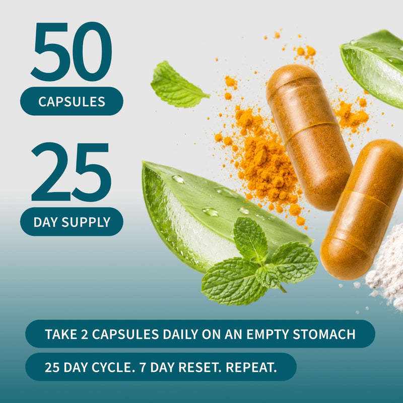 Snap Supplements Gut Health Lipase Supplement, Probiotic, 50 Vegan Capsules | Gut Health Lipase Supplement for Women & Men, Digestive Enzymes, Bloating & Irregularity Support, Zinc for Immune Health