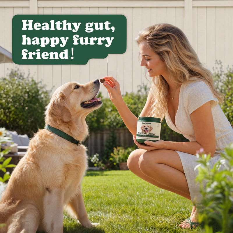 Probiotics for Dogs - with Prebiotics & Digestive Enzymes, Support Gut Digestive Health, Relief Occasional Diarrhea, Bloating & Constipation - Canine Gut Health Supplements 120 Chews(Chicken)