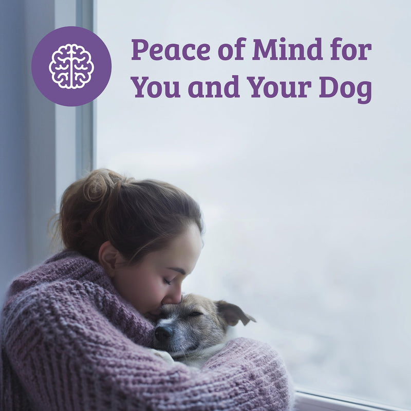 Omni Dog Anxiety Relief Supplement - Dragons’ Den Winners, One-a-Day Supplements for Dogs, Aids Stress and Anxiety with L-Tryptophan L-Theanine for Calming, 30 Servings, Small Dog 0-15Kg Pack of 1 Small Dogs (0-15kg)