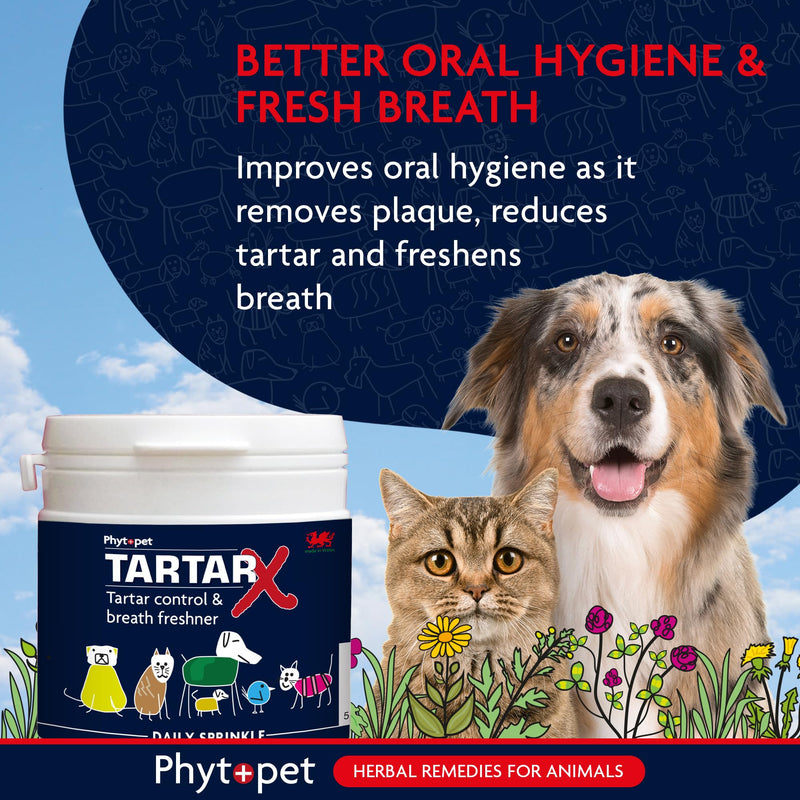 Phytopet TartarX Plaque and Tartar Remover for Teeth, Cat and Dog Breath Freshener, All Natural Cat and Dog Dental Care, 300g - 100% Herbal Phytopet Pet Supplies