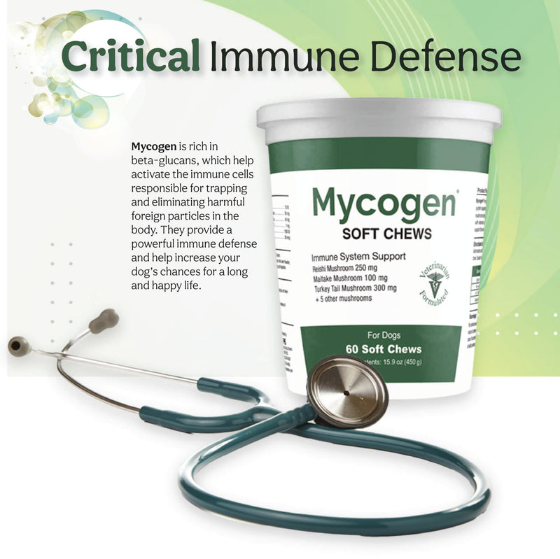 Mycogen Soft Chew for Dogs - 8 Species Mushroom Blend for Critical Immune System Support- Turkey Tail, Reishi, Shiitake, Cordyceps, Black Tree Fungus-120 Tasty Soft Chews 2-Pack 120 chews