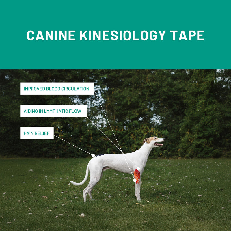VETKIN VetkinTape Canine & Equine Kinesiology Tape | Veterinary Medical Tape | Vet Wrap for Joint Support & Pet Care | Self Adhesive Bandage Wrap | Pink | 2.4in | (Pack of 1)