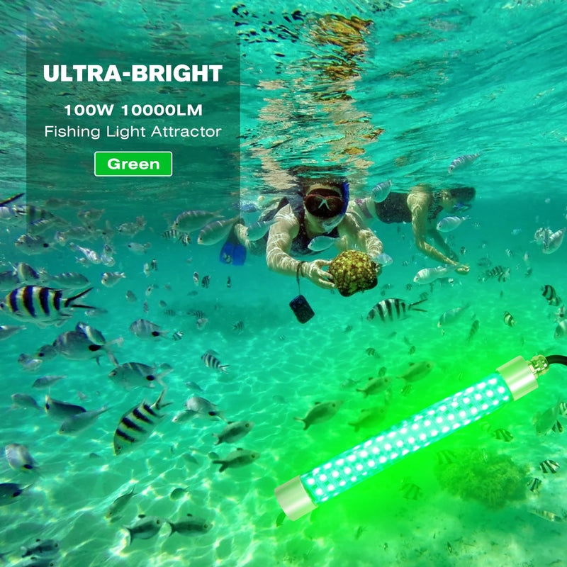 F1 12V LED Underwater Fishing Light, 100W 10000LM Green Fishing Lights for Boat Docks Kayaks at Night, Submersible Fish Attracting Light for Crappie Snook Squid Bait Catfish (16.4ft Cord) 16.4FT F1 - BeesActive Australia