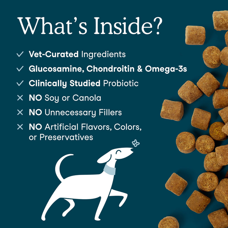Fera Pets Dog Multivitamin Chews with Glucosamine and Probiotics - Essential Dog Vitamins & Minerals - Promotes Healthy Digestion & Joints - Boosts Skin & Coat Health with Omega-3s - 30 Soft Chews 30 Chews