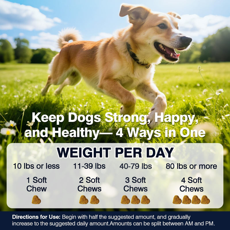 Hip and Joint Supplement for Dogs Dog Probiotics Glucosamine Chondroitin MSM Chew for Dog Arthritis Pain Relief Extend Joint Care, Probiotic for Digestive/Gut Health for Large/Small/Senior Breed Dogs Chicken