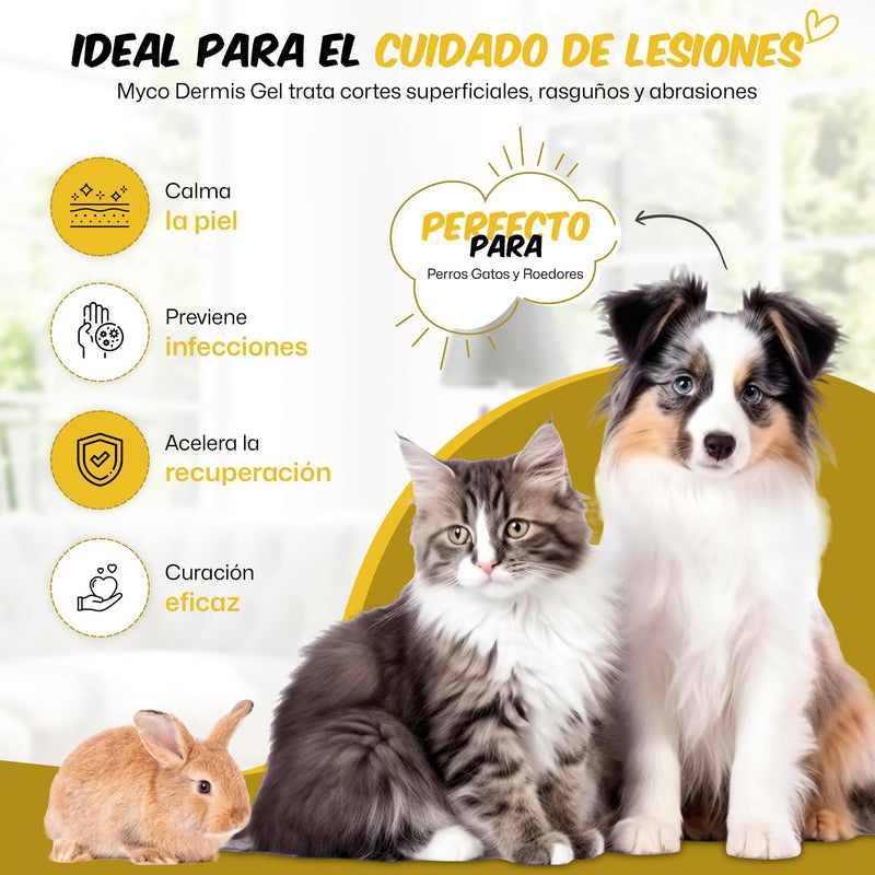 Aldivet Gel for the Care of Skin Injuries in Dogs Cats and Rodents - Natural Protective Barrier - Deep Hydration - Skin Regeneration - Antimicrobial Properties - 125ML