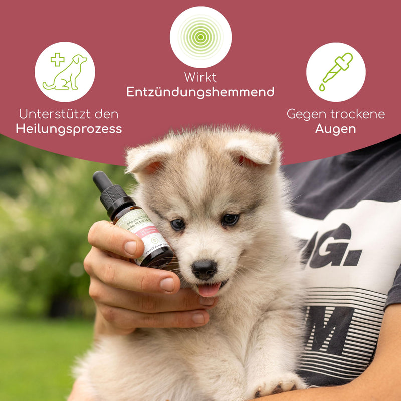 Wolfsbacher Natur Natural Tear Stain Remover for Dogs and Cats | Eye care drops for mild care for tear stains and discoloration - with euphrasia, eyebright and rose water - BeesActive Australia