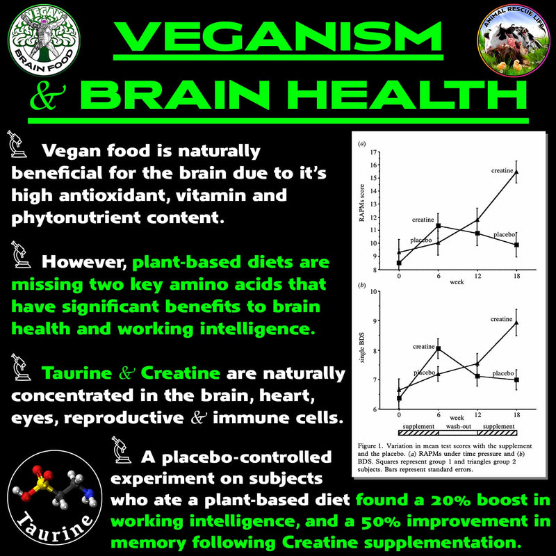 Vegan's Best Friend - Plant Based Multivitamin For Men & Women - Brain, Memory, Energy, Immune, Mood & Stress Support - Replaces 7 Supplements - Creatine, B12, D3, Choline, Zinc, Taurine - 60 Servings 1.11 Pound (Pack of 1)