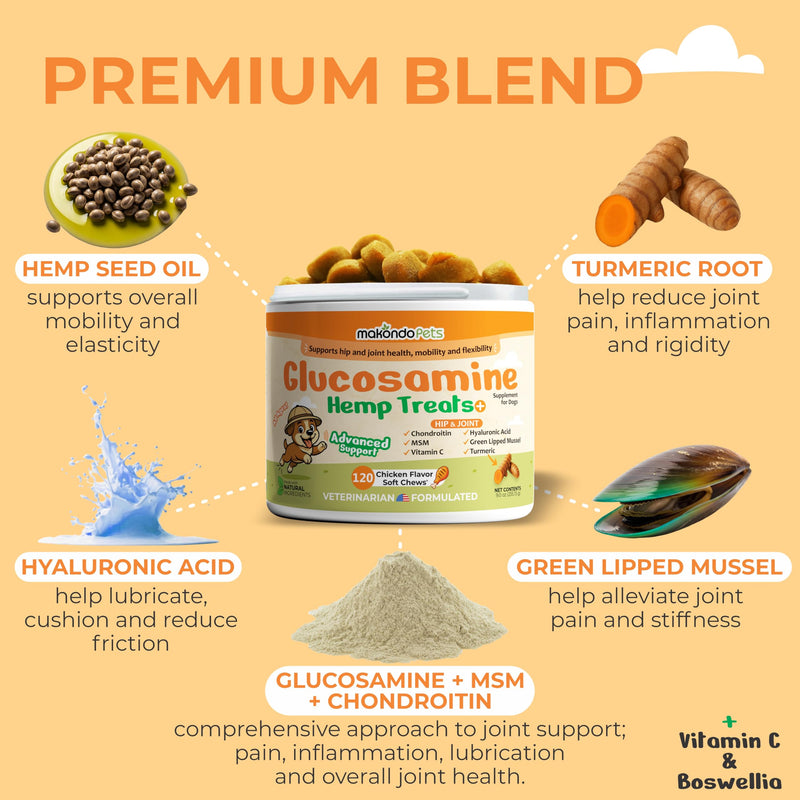 Advanced Hip and Joint Support for Dogs (120) – Glucosamine Chews with Green Lipped Mussels for Dogs, Chondroitin, MSM, Turmeric & Hyaluronic Acid – Mobility Soft Chews