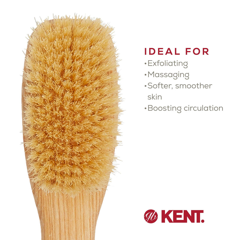 Kent FD5 Beechwood Wood Long Handle Shower Bath Body Brush. for Skin Exfoliate and Massage. 100% Boar Bristles. Best Back Body, Foot and Leg Scrubber Brushing for Wet and Dry Body. Made in England - BeesActive Australia