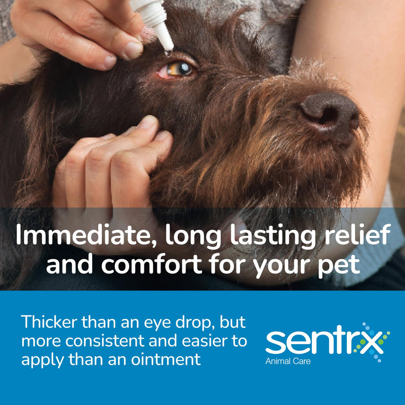 Sentrx Eye Lube Pro, Hyaluronic Acid Drops for Dogs, Cats, Horses, Dry Eye & Redness Relief Ointment, 20g Pack of 1 - BeesActive Australia