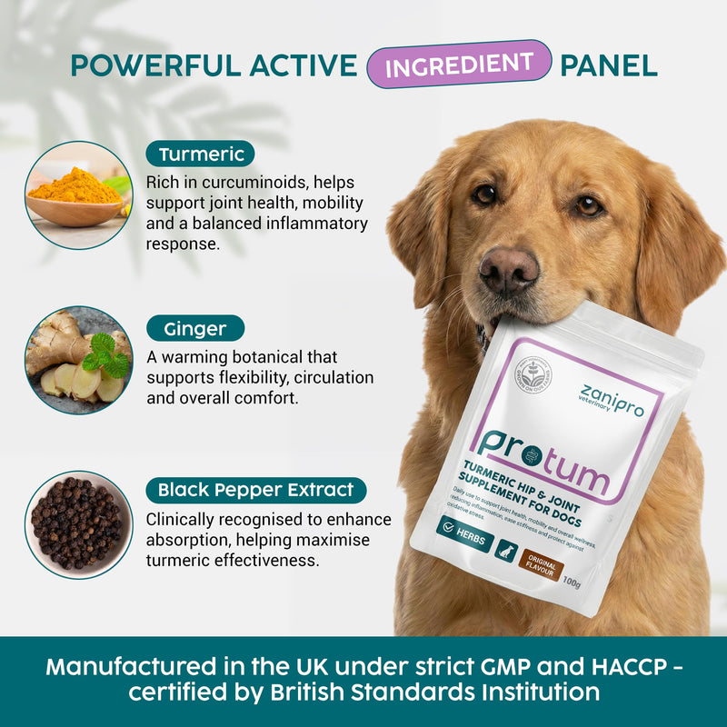 Turmeric Powder for Dogs 100g – Natural Hip and Joint Supplement for Dogs with Ginger & Black Pepper, Daily Mobility, Joint Health & Inflammation Support