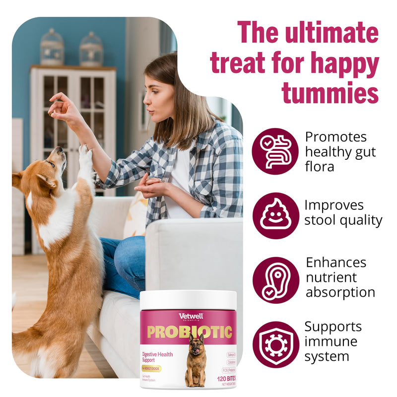Vetwell Probiotics for Dogs - 120 Chews, Digestive Care with Dog Probiotics Enterococcus Faecium, Colostrum from Bovine, Prebiotic Chicory Inulin, Liver Flavour Dog Probiotic Supplements