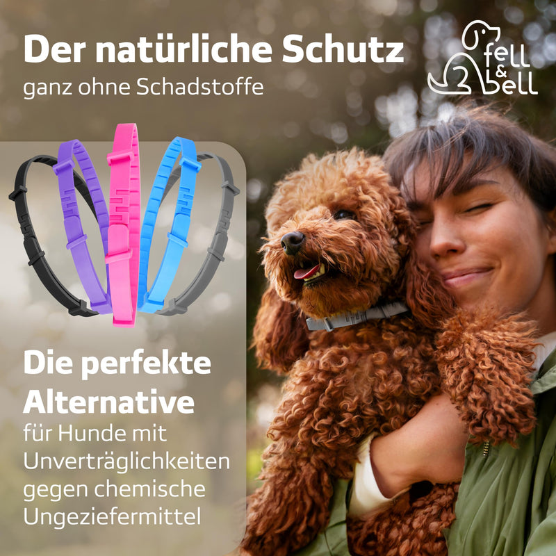 fell&bell tick collar with 60 ml coconut care spray - natural oils against vermin - dog collar in 5 colors - protection up to 8 months - flea collar - waterproof - for all dogs (blue) blue - BeesActive Australia