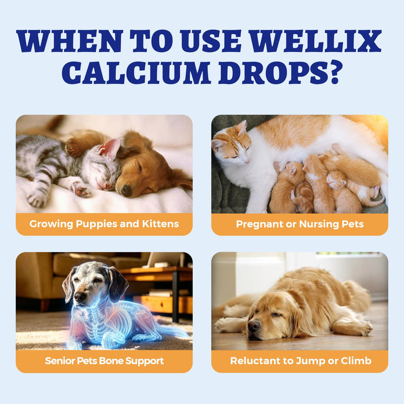 Wellix 4.06 fl oz Liquid Calcium Supplement for Dogs and Cats | Cat & Dog Calcium Supplement with Collagen & Vitamins for Whelping Dogs to Support Strong Bones, Muscles & Calcium Absorption