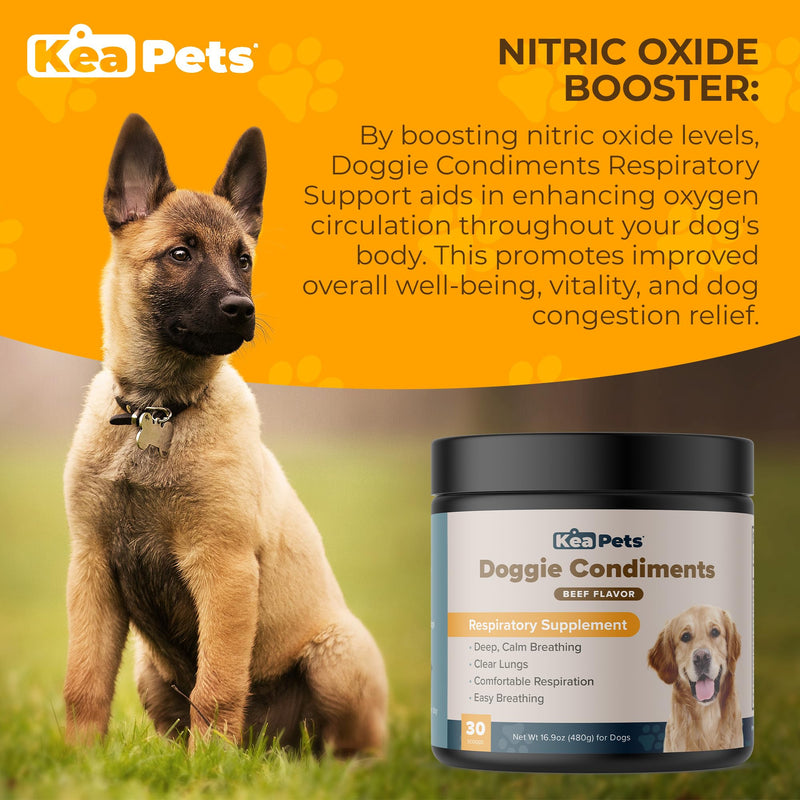 Doggie Condiments Pet Respiratory Support A Natural Dog Supplement for Optimal Dog Breathing, Clear Sinuses, Coughing, Sneezing and Congestion Relief for Dogs - PawsPlanet Australia
