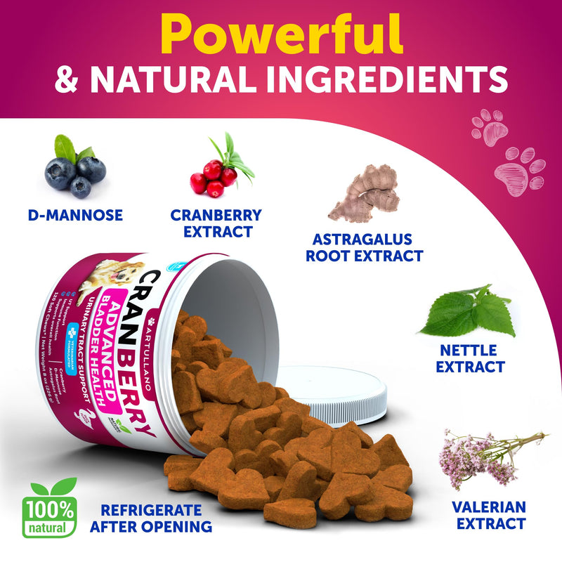 Dog UT Treats - Cranberry Chews for Dogs - Urinary Tract & Bladder Support Supplement with Natural Cranberry Extract - Tasty 120 Soft Bites for Daily Wellness with Fish Oil, Pumpkin, D-Mannose Cranberry Chews - 120 Count