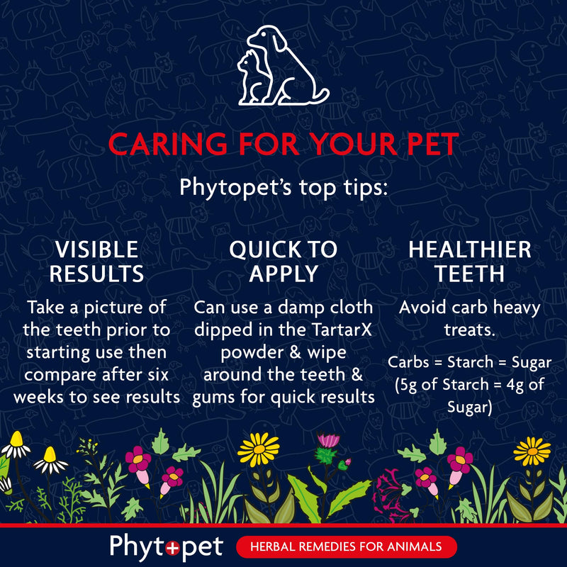 Phytopet TartarX Plaque and Tartar Remover for Teeth, Cat and Dog Breath Freshener, All Natural Cat and Dog Dental Care, 300g - 100% Herbal Phytopet Pet Supplies