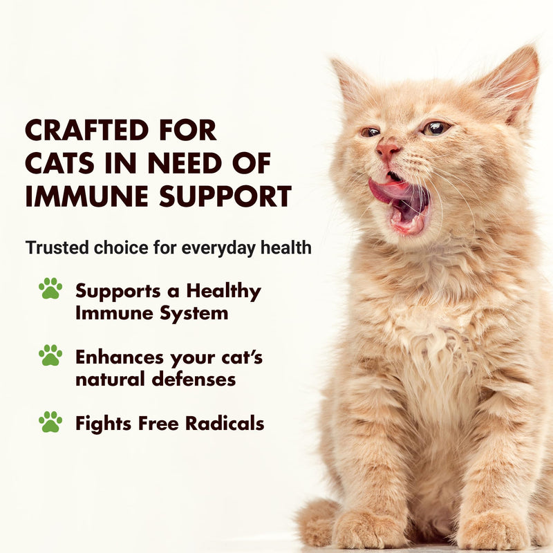 LIQUID-VET Immune Support for Cats – Daily Formula with Inulin, Beta-Glucan, Vitamin E, Omega-3s, Fermented Yeast & More! - Made for Picky Eaters Seafood 8 Fluid ounce