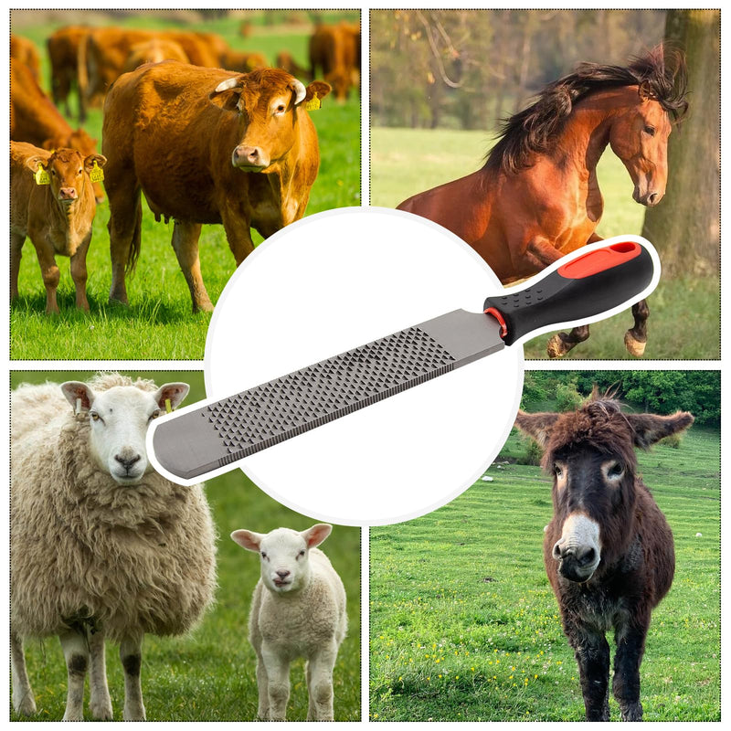 12.5 Inches Horseshoe File, Horseshoe File with Rubber Handle, Double-Sided Hoof Rasp File, Farrier Supplies Tool for Repair Horse Hooves, Goat Hooves, Cow Hooves and Wood Working - BeesActive Australia
