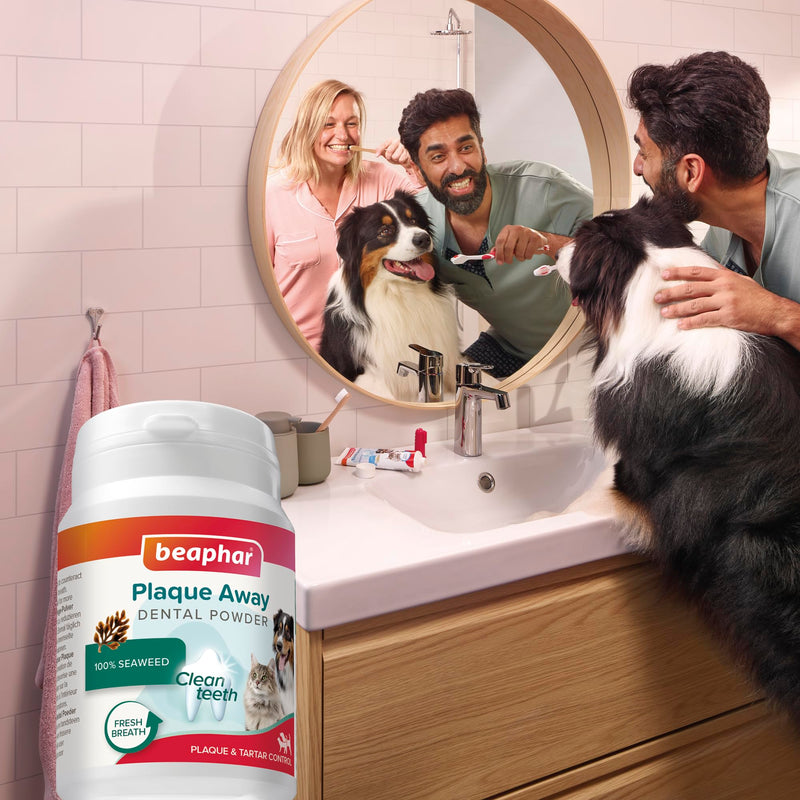 Beaphar – Plaque Away Dental Powder For Cats & Dogs – Anti-Plaque & Anti-Tartar - Prevents Bad Breath –100% Natural Teeth Cleaner - Easy-To-Use Sprinkle Over Food - Daily Dental Support - 80g Tub