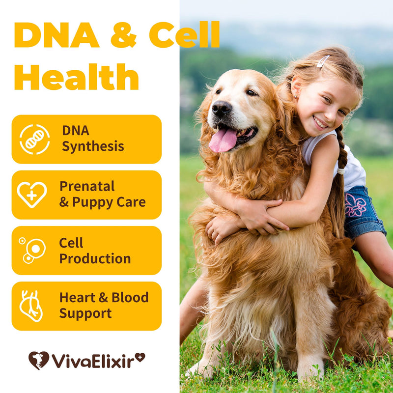 Heart Support Supplement for Dogs Aids B12& Folate Circulatory Strength, Antioxidant Cardiovascular Support, Heart Muscle Function Support DNA Synthesis & Seeking Health Prenatal 4.2oz Powder