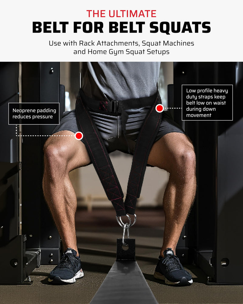Ultimate Belt for Belt Squats, Rack Attachment and Squat Machine, Structured Back Support, Stays Low During Down Movement, Padded Hip & Thigh Area, Buckle Strap - No Sliding Down, Heavy Duty - BeesActive Australia