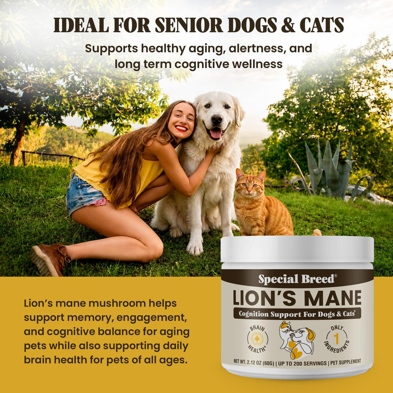 Lion’s Mane for Dogs & Cats - Cognitive & Brain Support Supplement - Supports Memory, Focus & Nervous System Health - Organic Mushroom Powder - 200 Servings