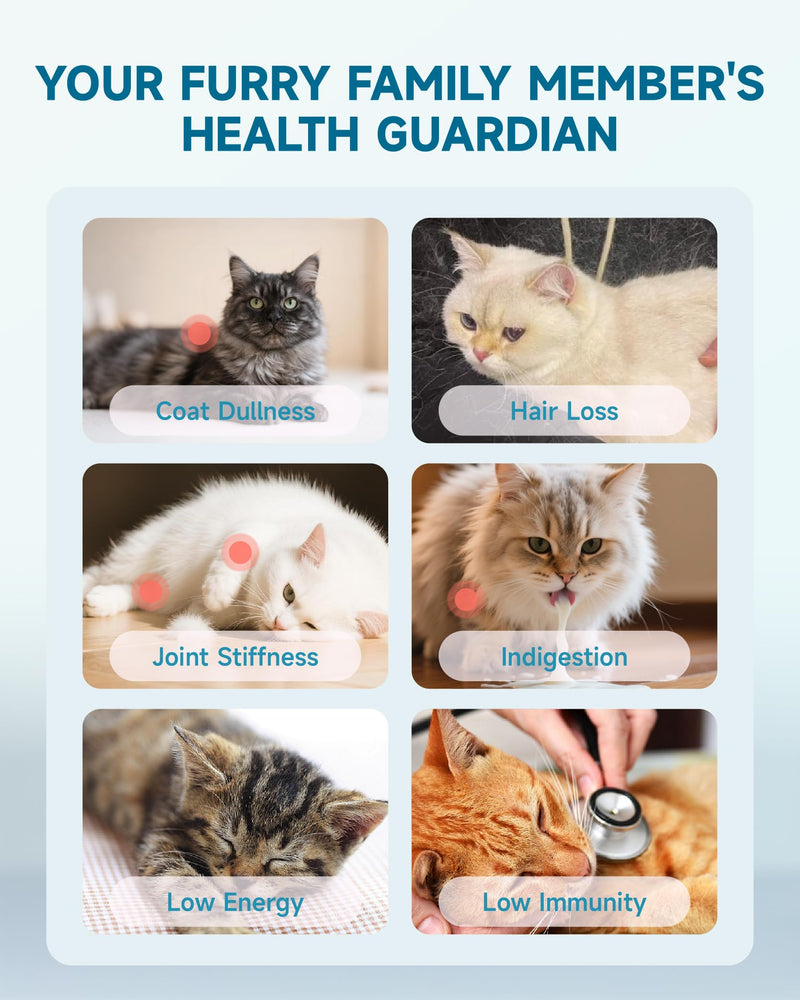 Eagou Diary Senior Collagen for Cats Joint Supplement - MSM, Biotin, Omega-3, Taurine, Glucosamine for Cat, Hip & Joint Supplement for Cats, Digestive & Immunity Support, 60ml Liquid Cat Collagen